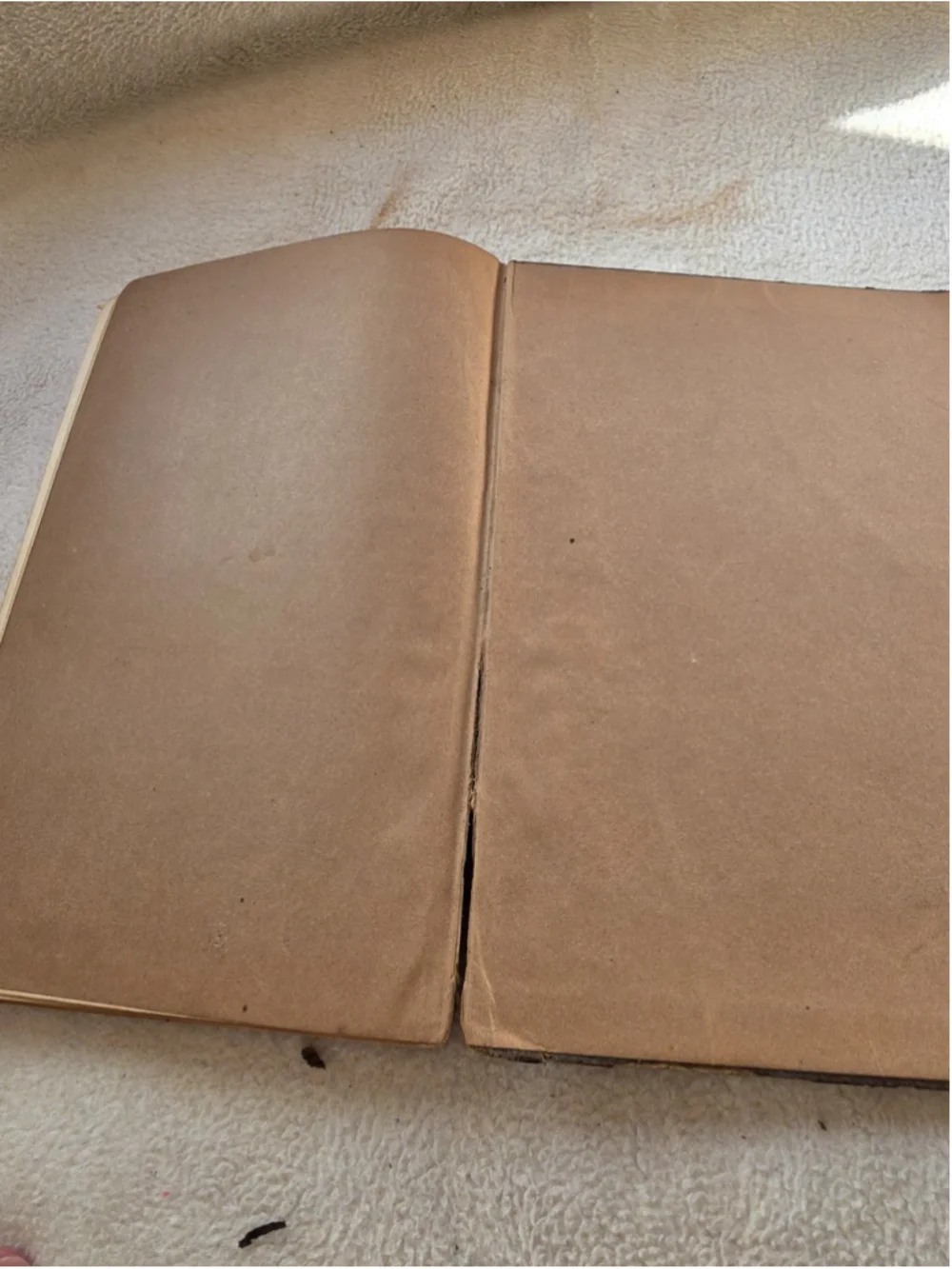 Antique 1880 Book of Psalms Leather American Bible Society Great Primer Octavo